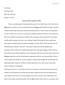 Freedom writers movie review essay